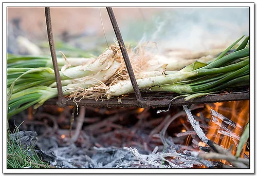 Calçots por *OKsana*-2 Calçots por *OKsana*-2