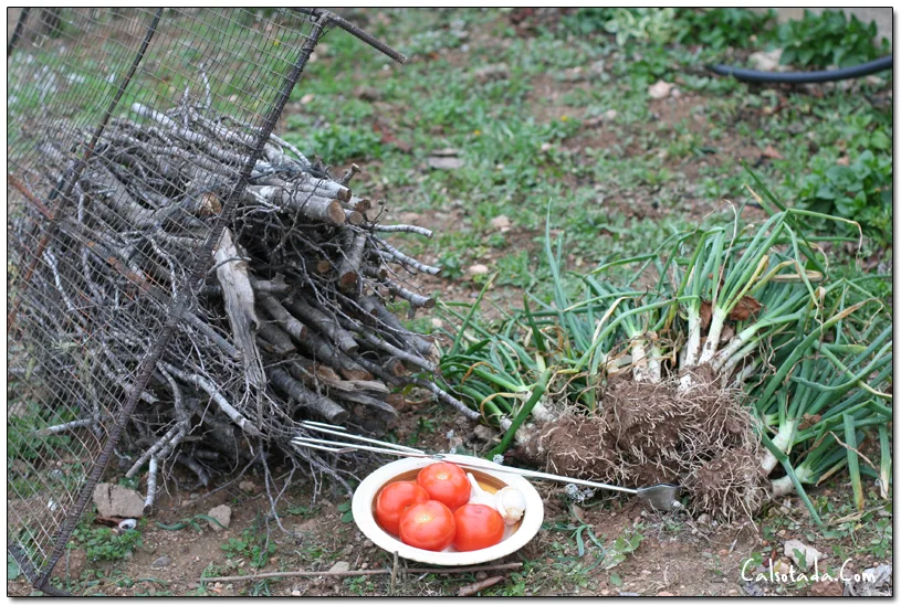El arte de la calçotada